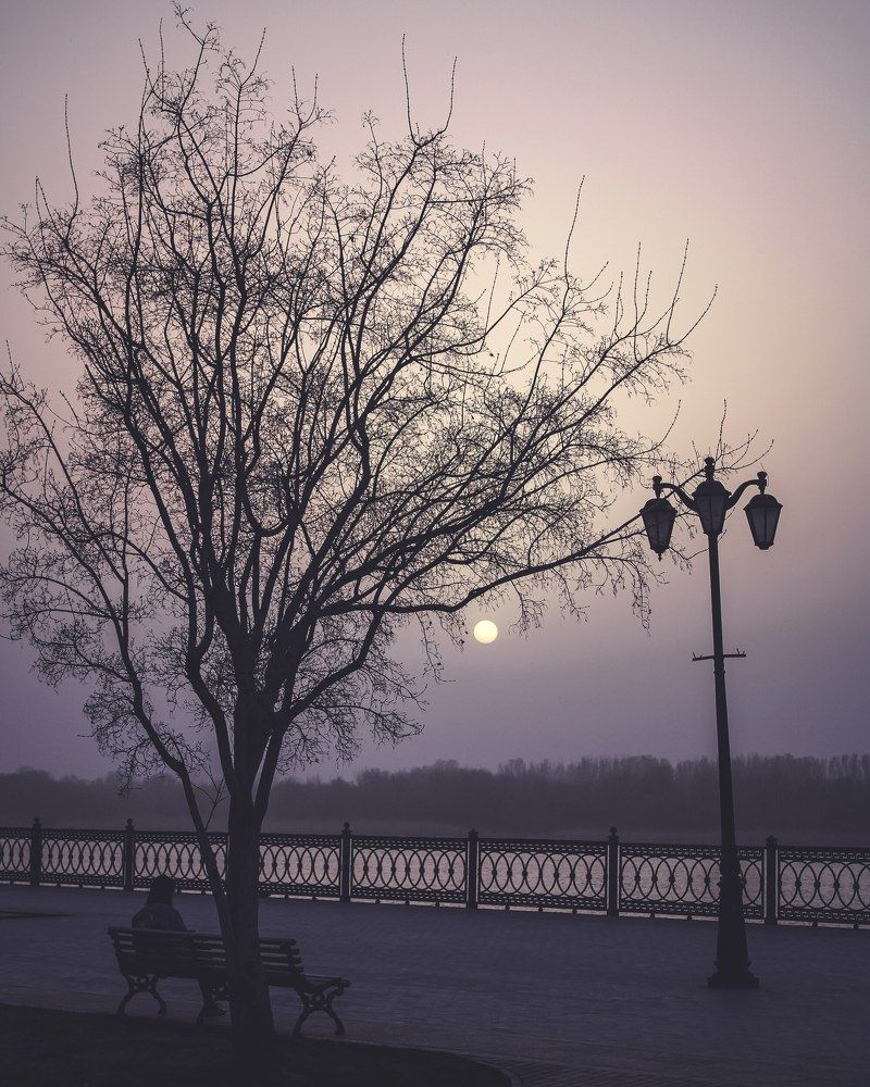 Photograph by Дмитрий Худоерко