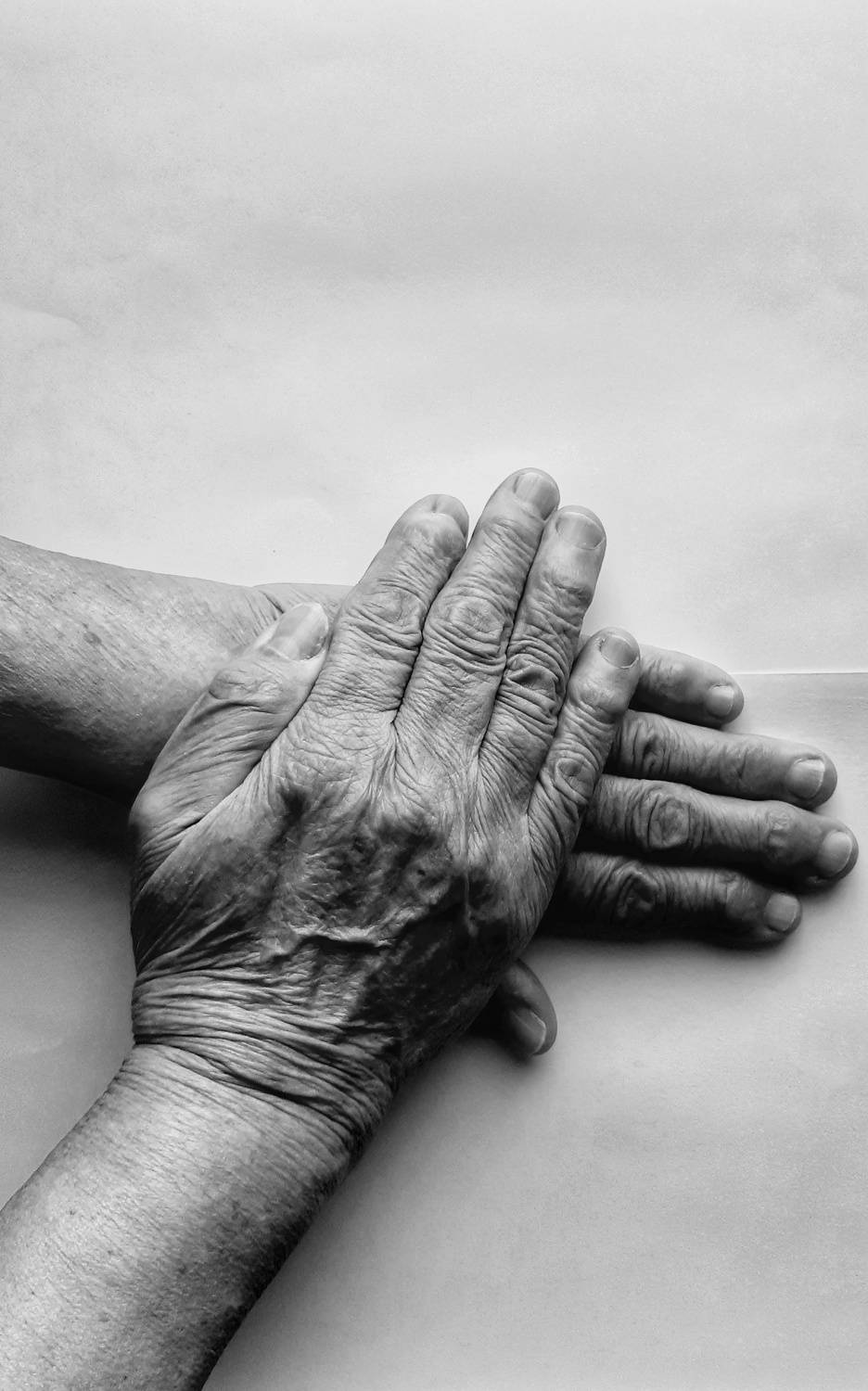 Photo #6049688