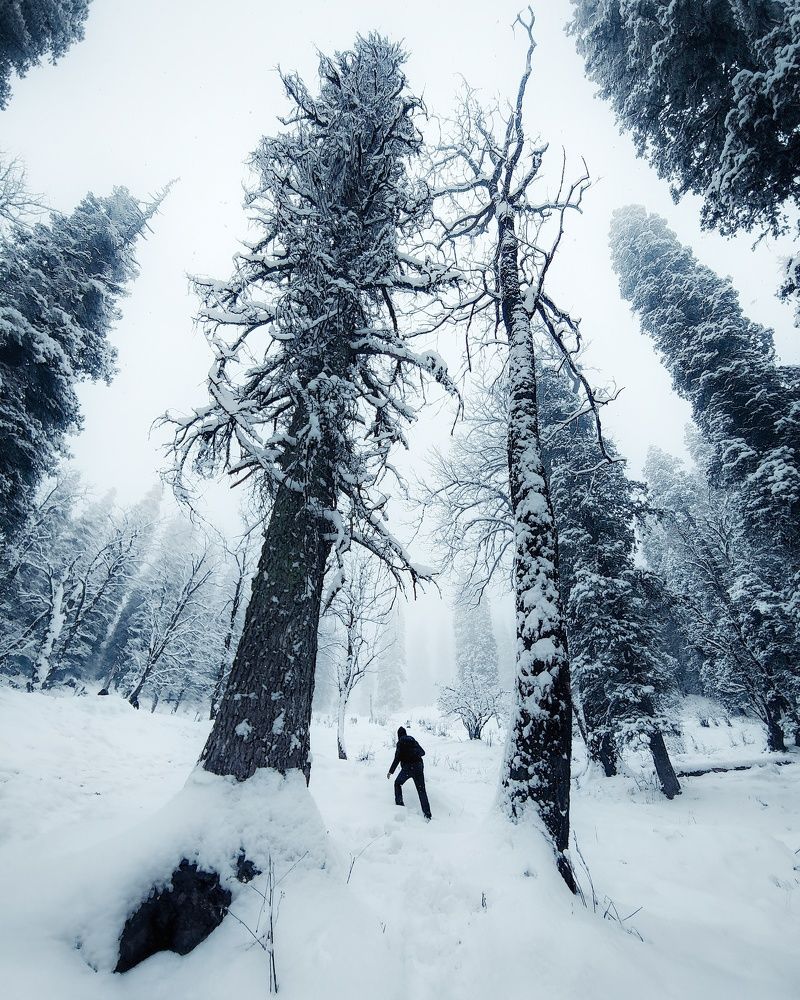 Photograph by Rohit Tandon