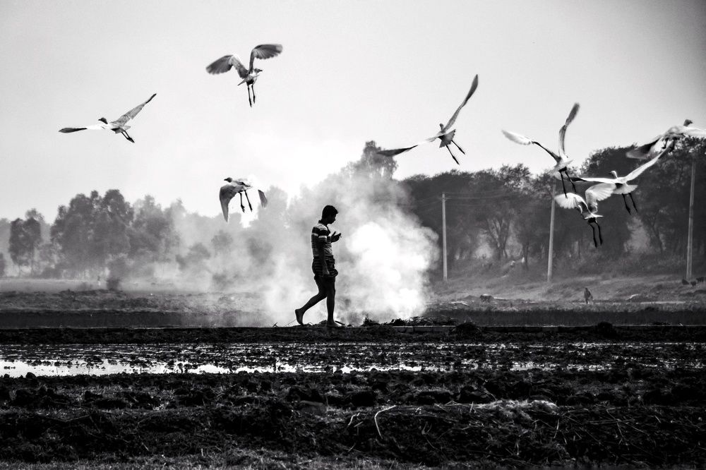 Photograph by Rahat Bin Mustafiz Rahat