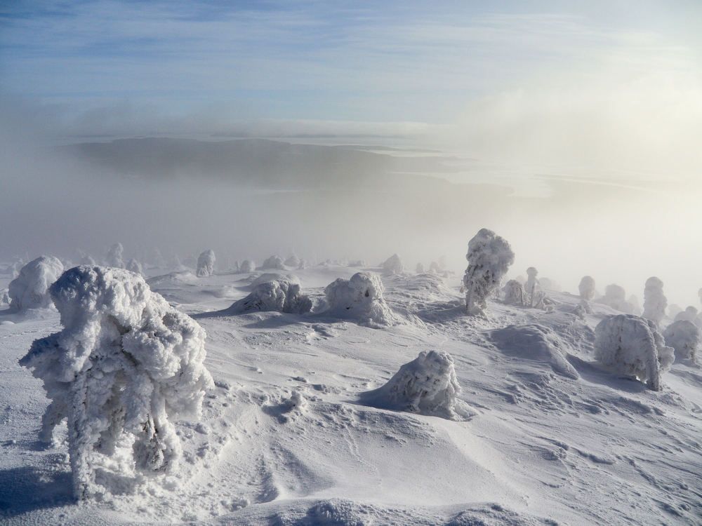 Photograph by Александр Авдушев