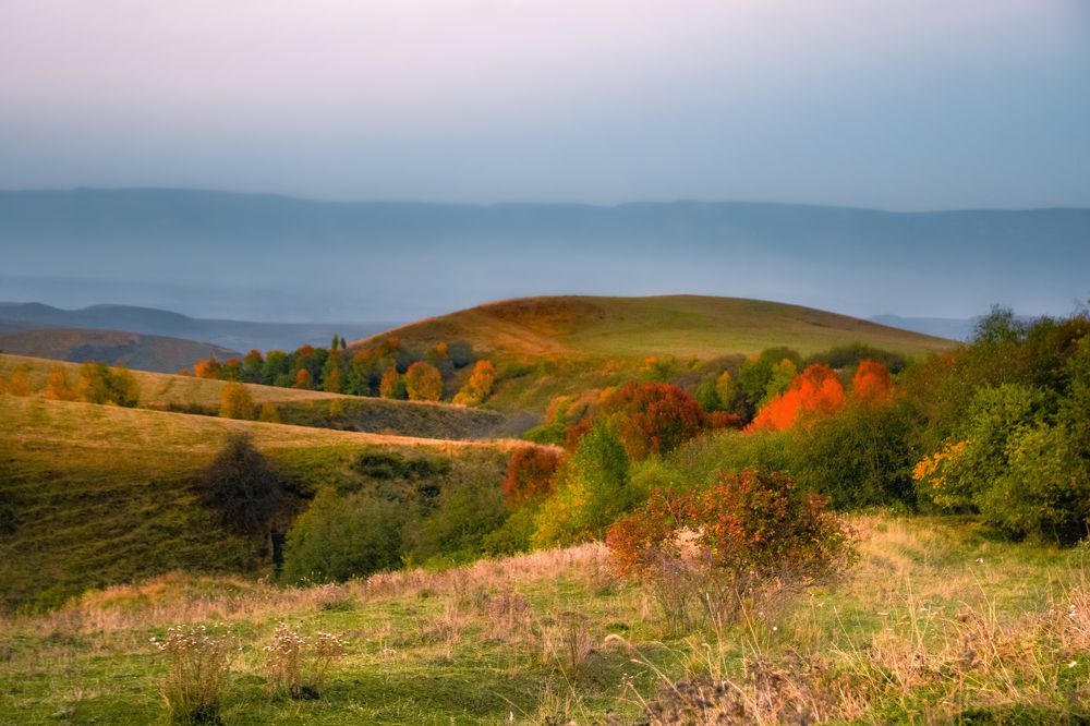 Photograph by Марина Егорова