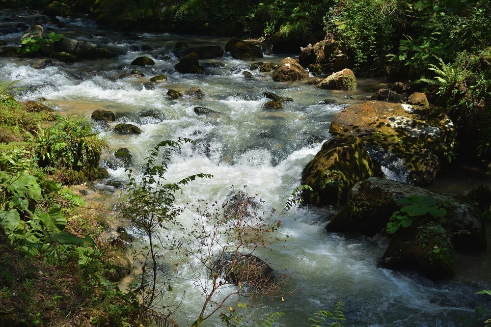 Горная река Кавказа