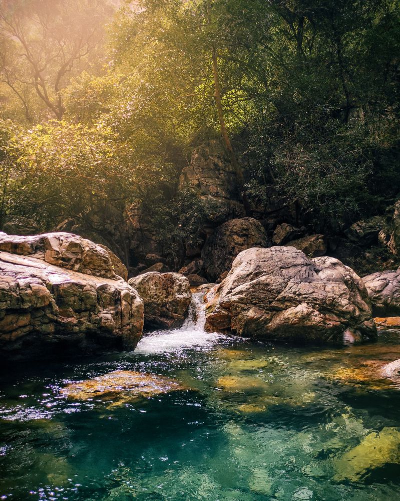 Photograph by Abilash Umapathi