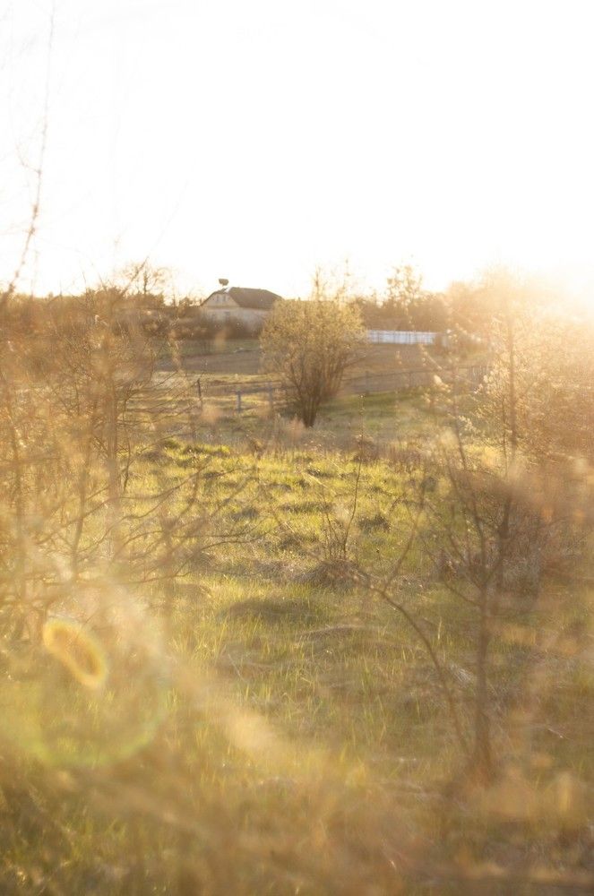 Photograph by Анастасия