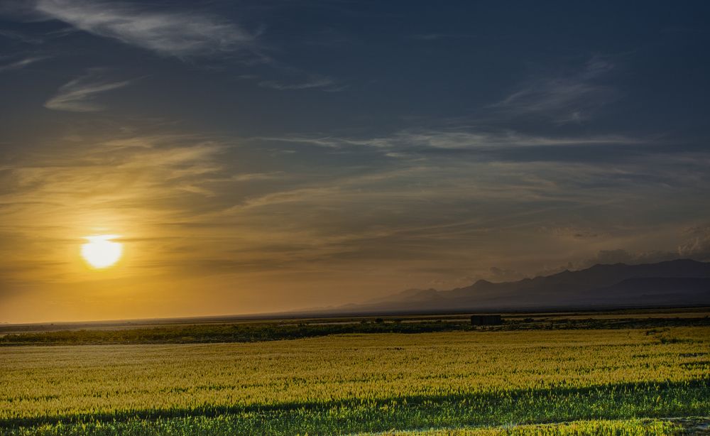 Фотография автора Morteza Sadeghi