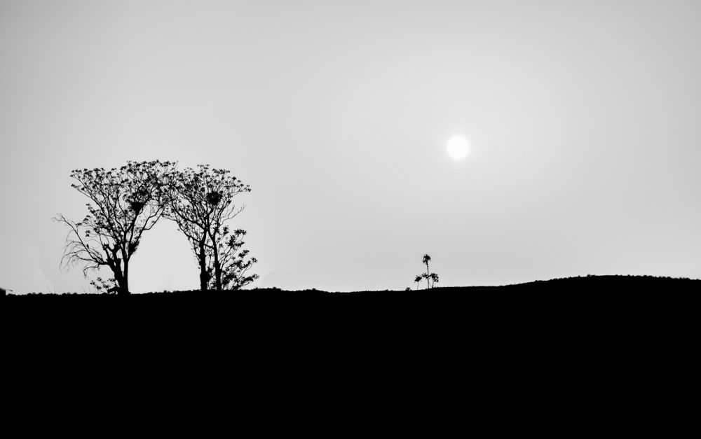 Фотография автора Morteza Sadeghi