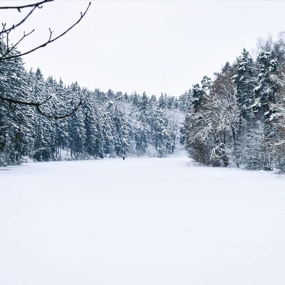 Photograph by Михаил Бородкин