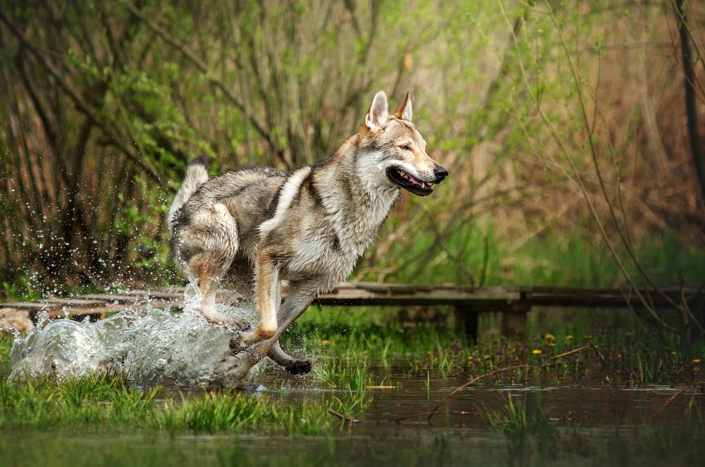 Photograph by Алексей Леонидович