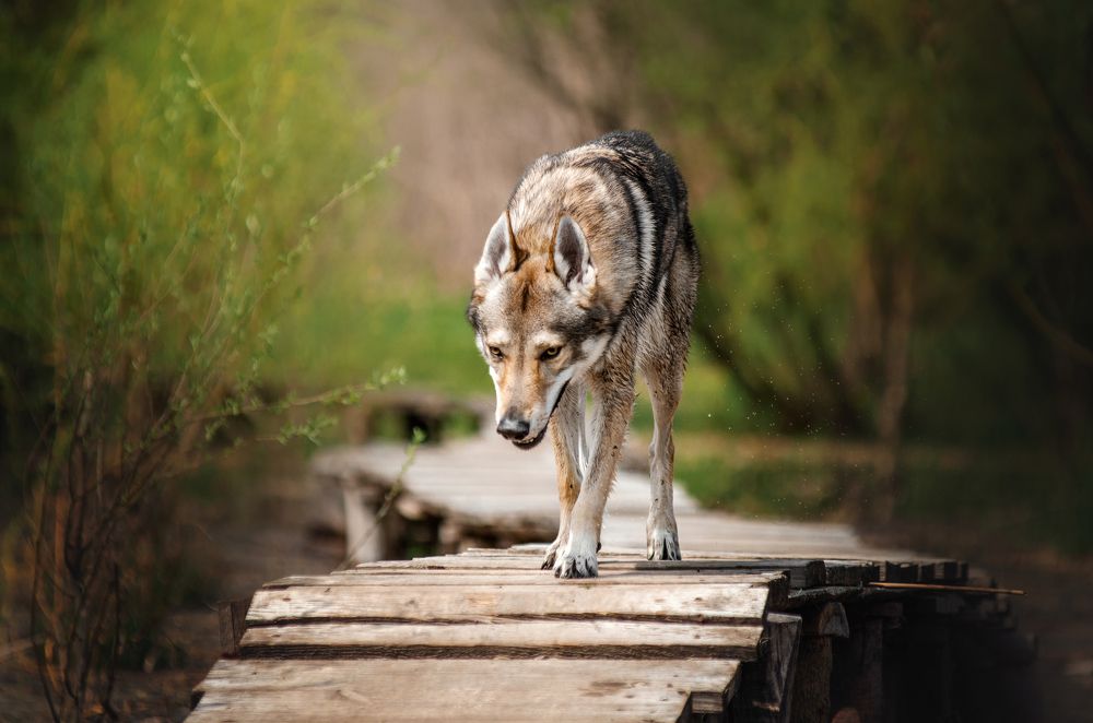 Photograph by Алексей Леонидович