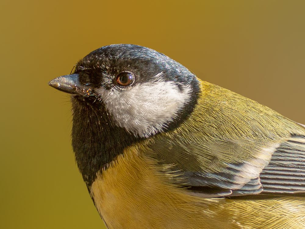 Photograph by Сергей Осинцев