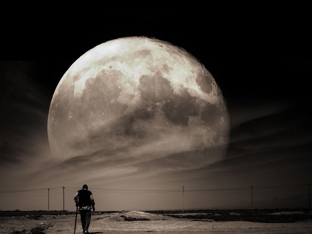 Фотография автора Morteza Sadeghi