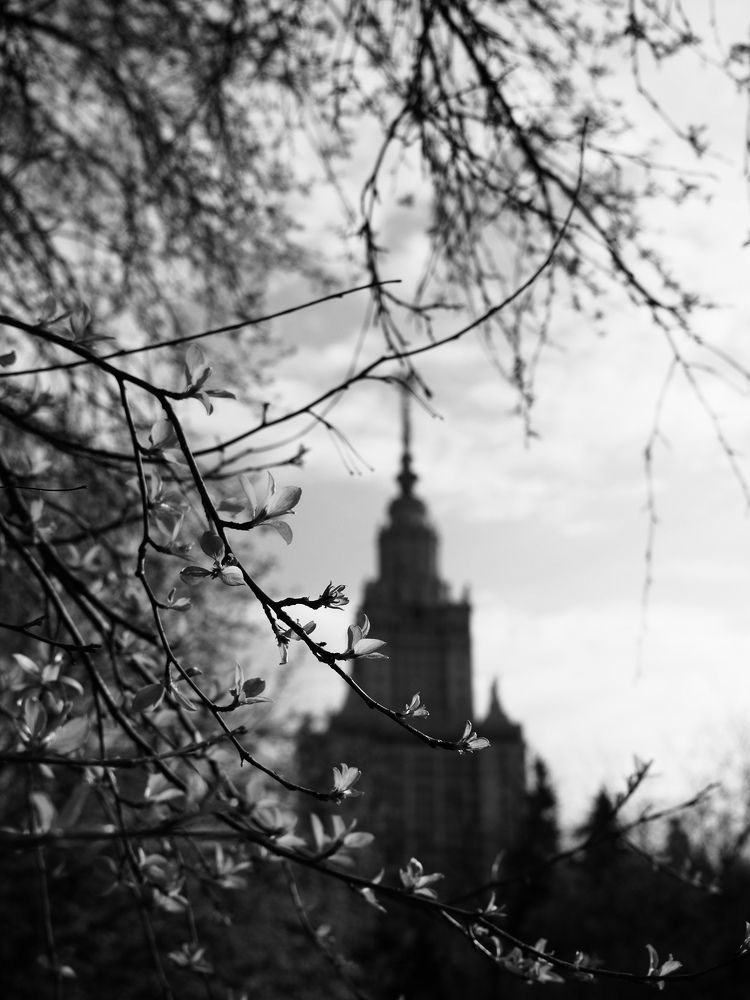Photograph by Ирина Калашник