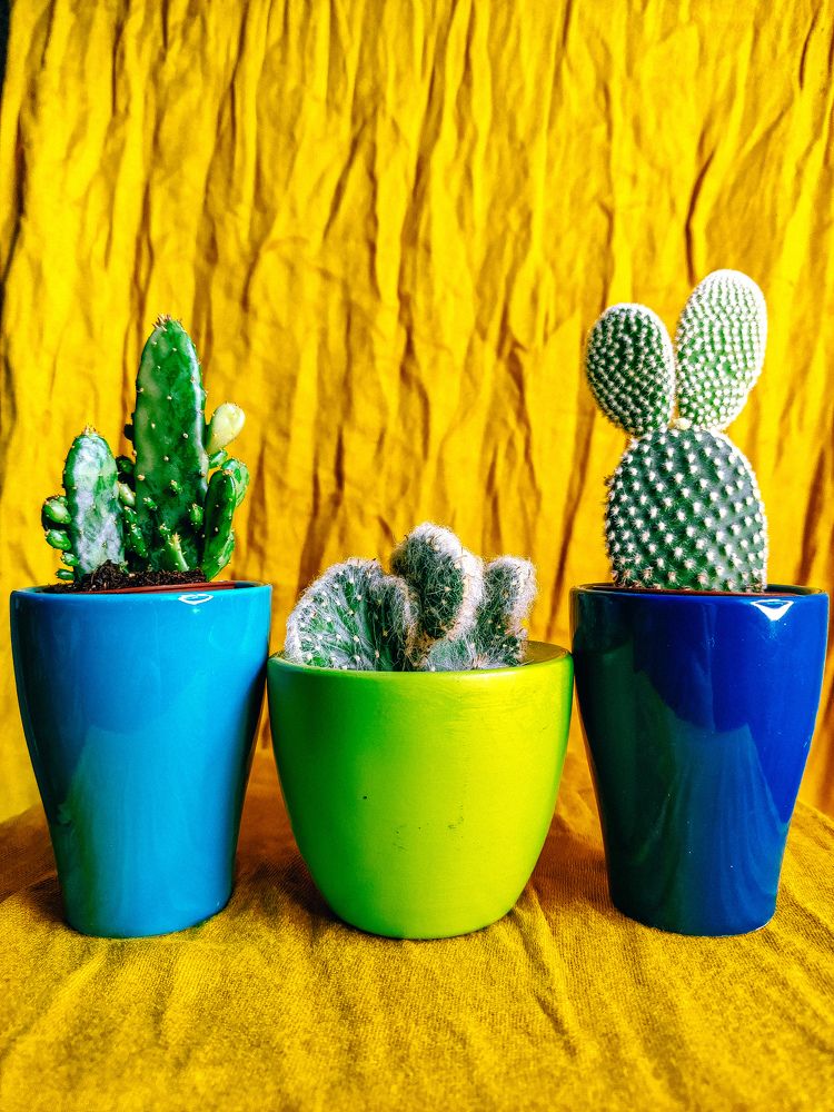 Photograph by Максим Зенкевич