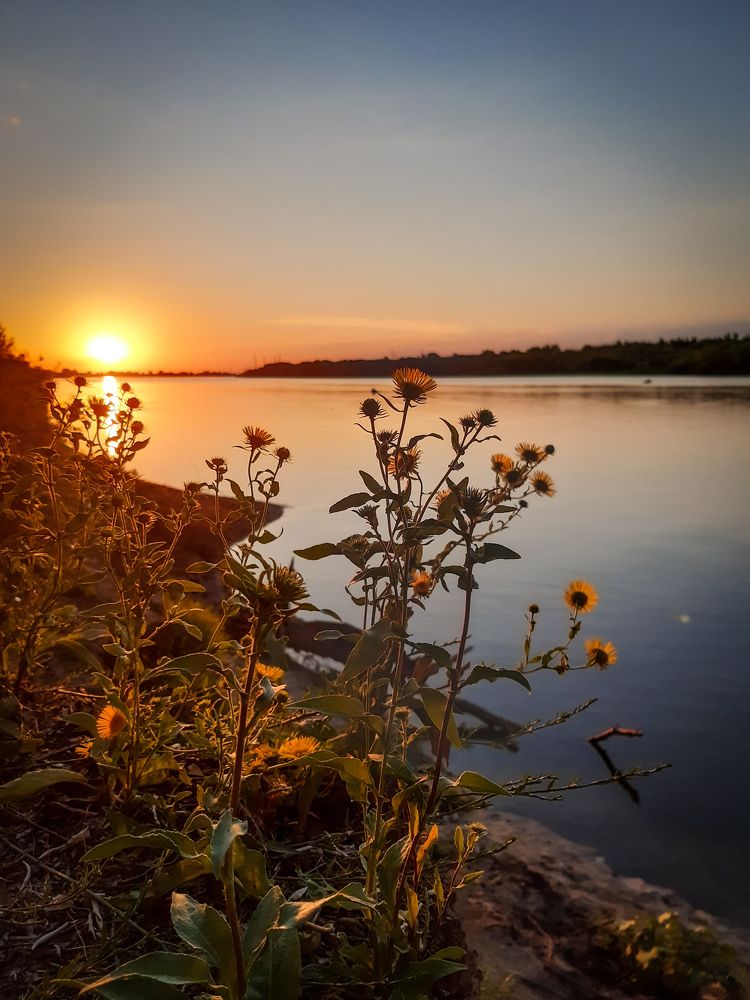 Photograph by Марина Шаповаленко