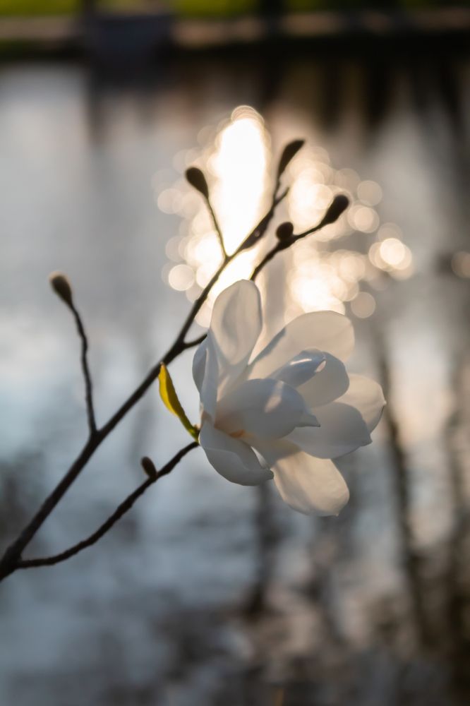 Photograph by Павел Фердман