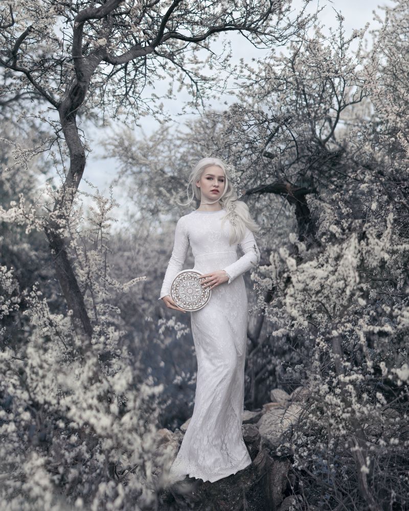 Photograph by Natalie Seitner