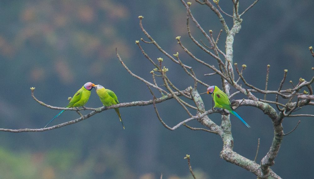 Photograph by Nahyan Nihal