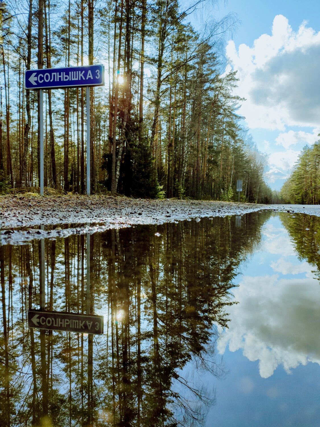 Photo #6050465