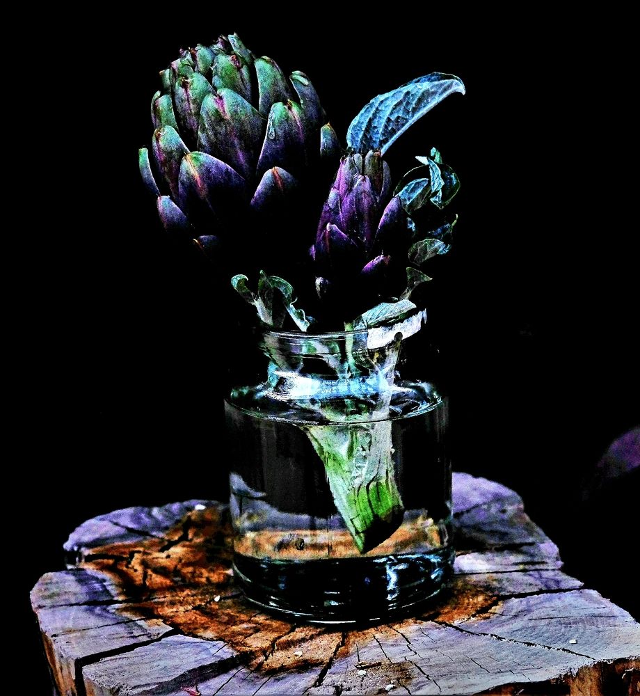 Photograph by Effie Zacharia