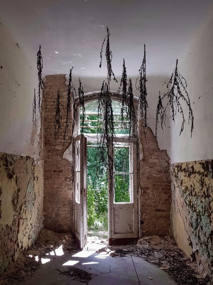 Photograph by Olga Zalunina