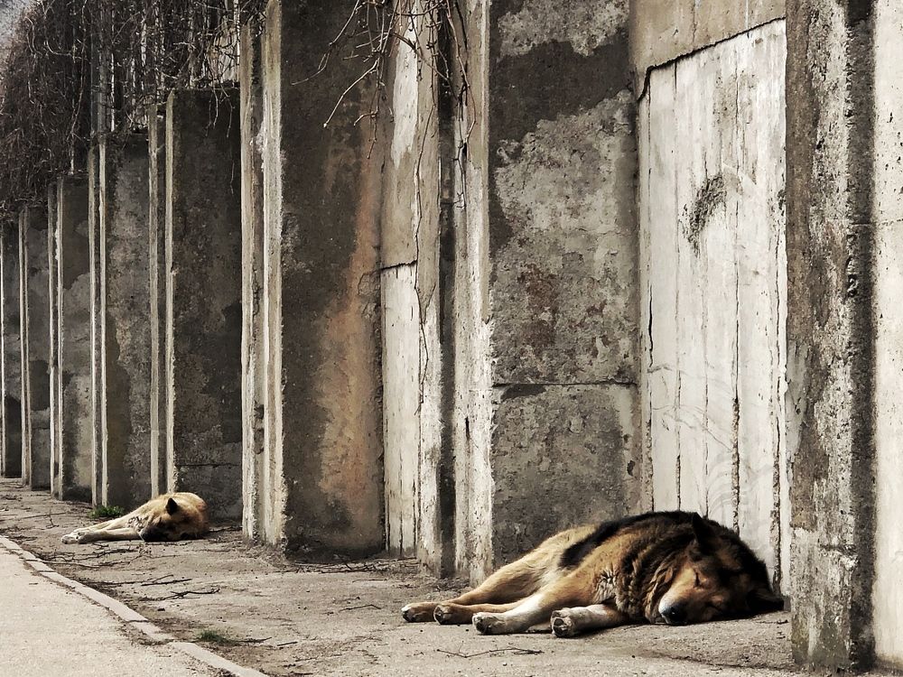 When tired - sleep well