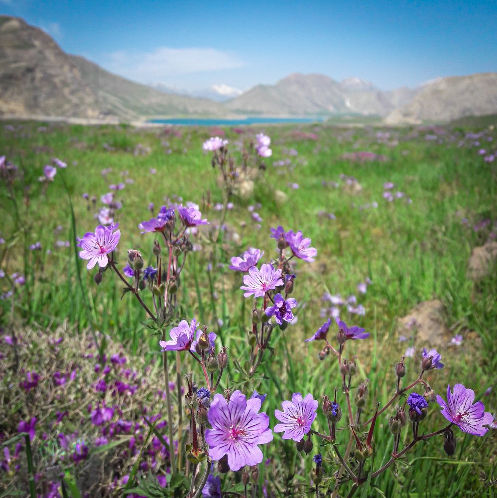 Photograph by Ольга Еженевская