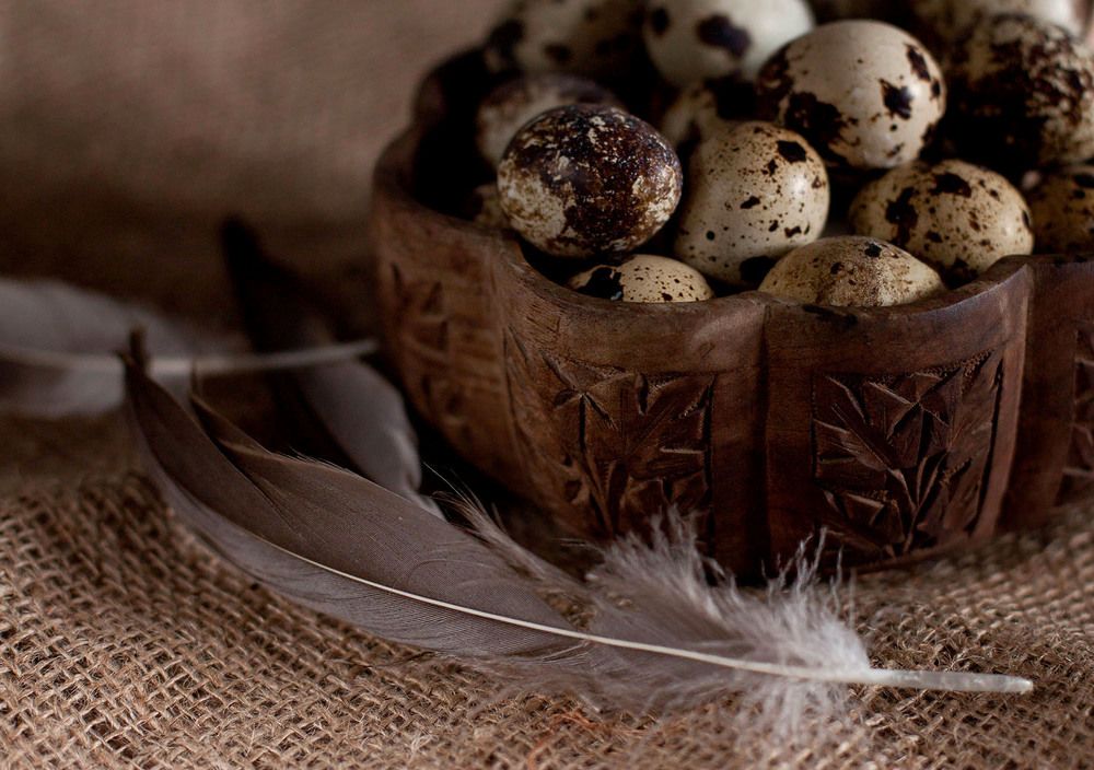 Photograph by Диляра Шарифзаде