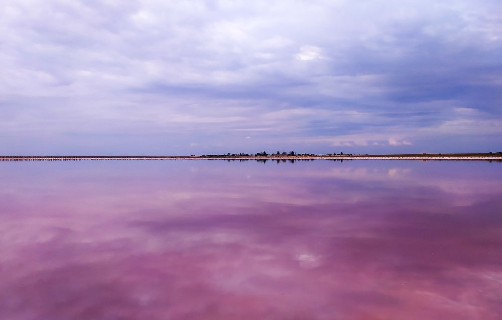 Photograph by Alekseeva Marina