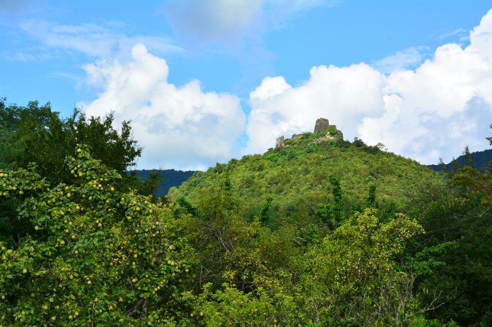 Photograph by Shota Gogoli