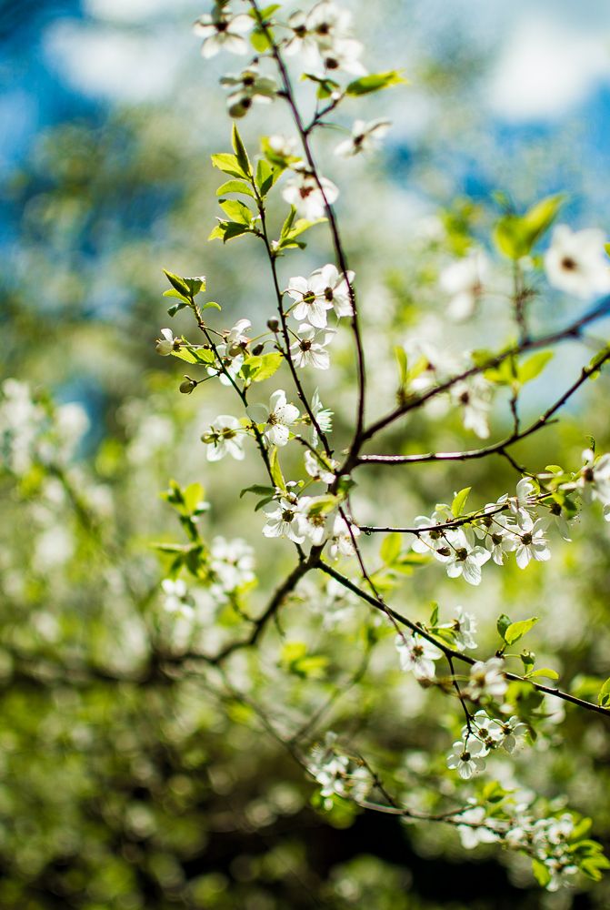 Photograph by Светлана Ветрова