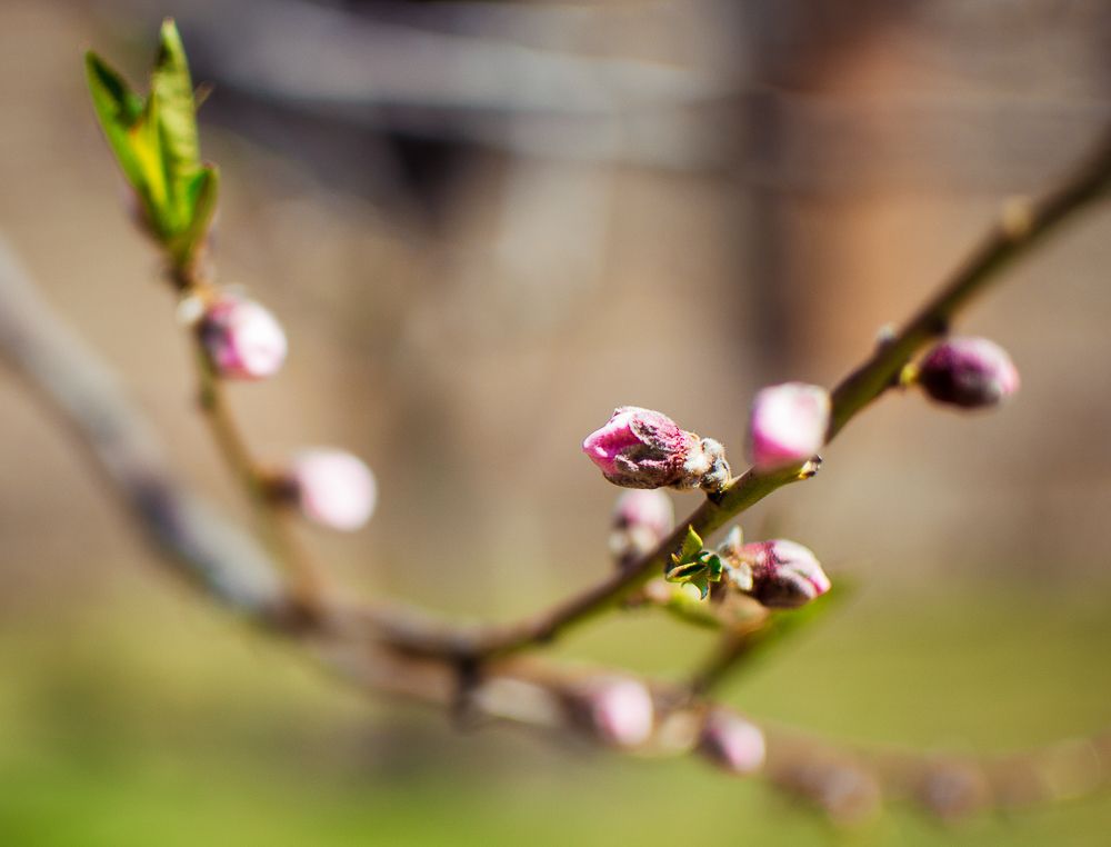 Photograph by Светлана Ветрова