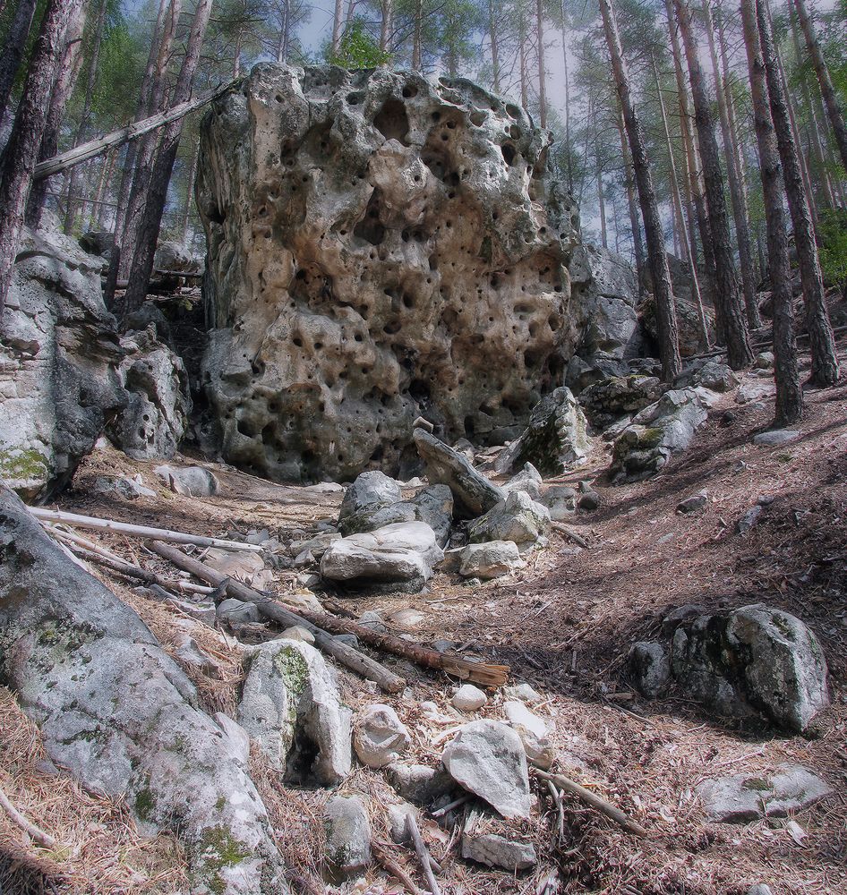 Каменный лес