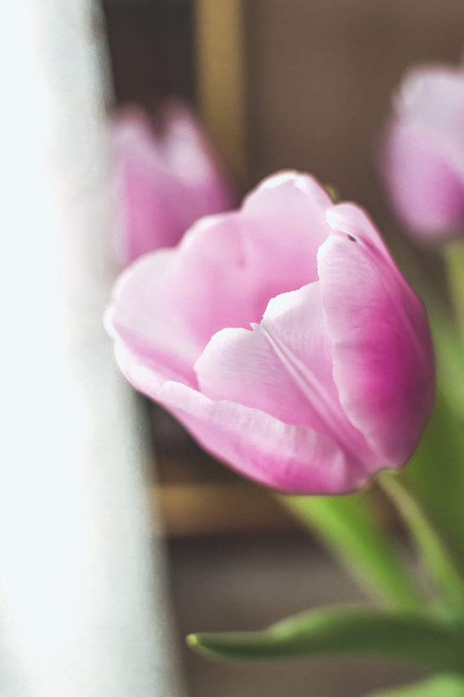 Photograph by Светлана Ветрова