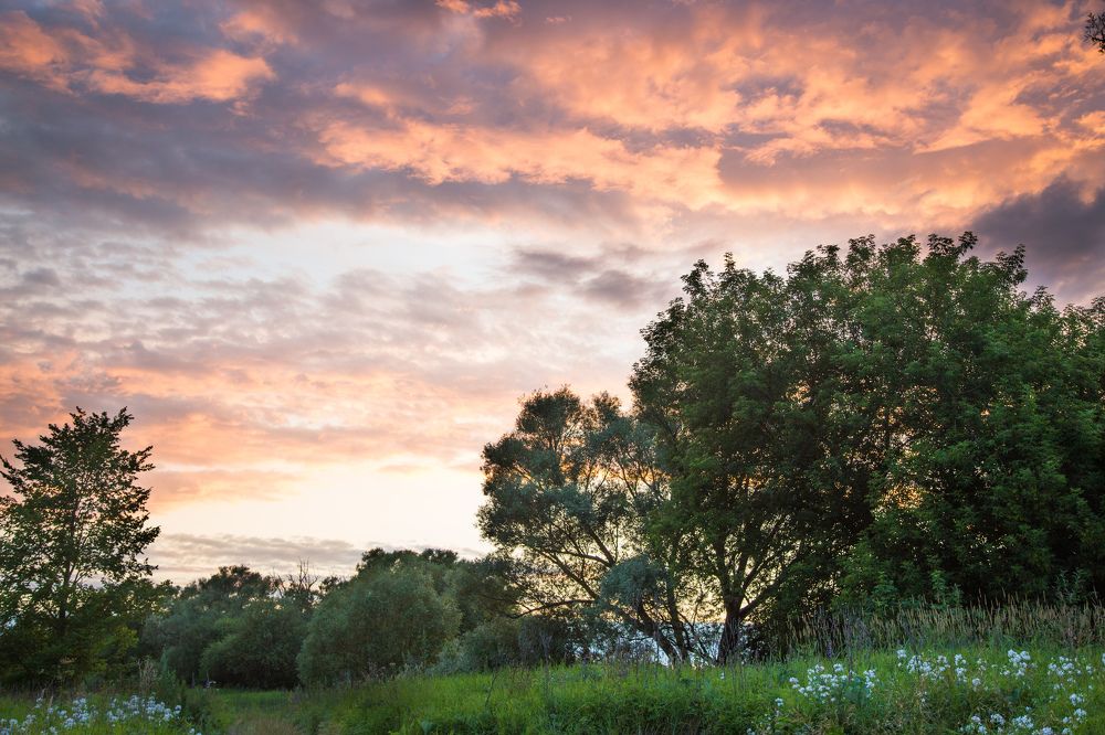 Photograph by Галина Шарапова