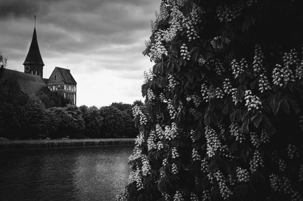 Photograph by Юлия Чепкина