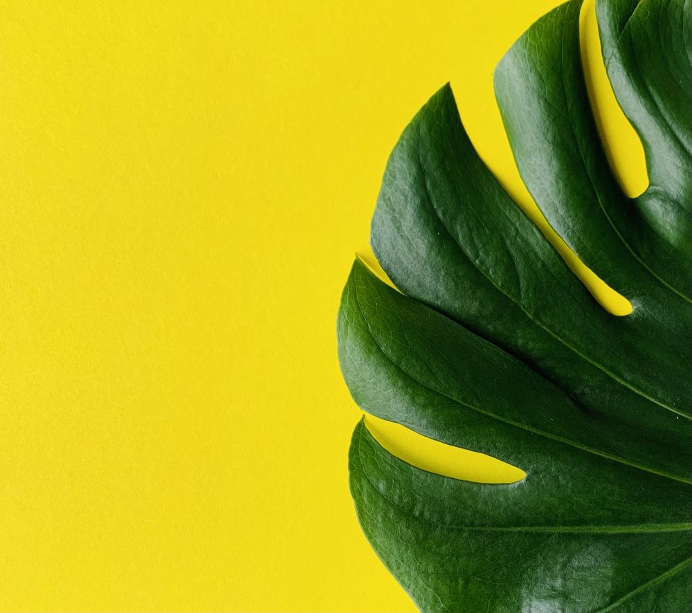 Photograph by Дарья Лисовская