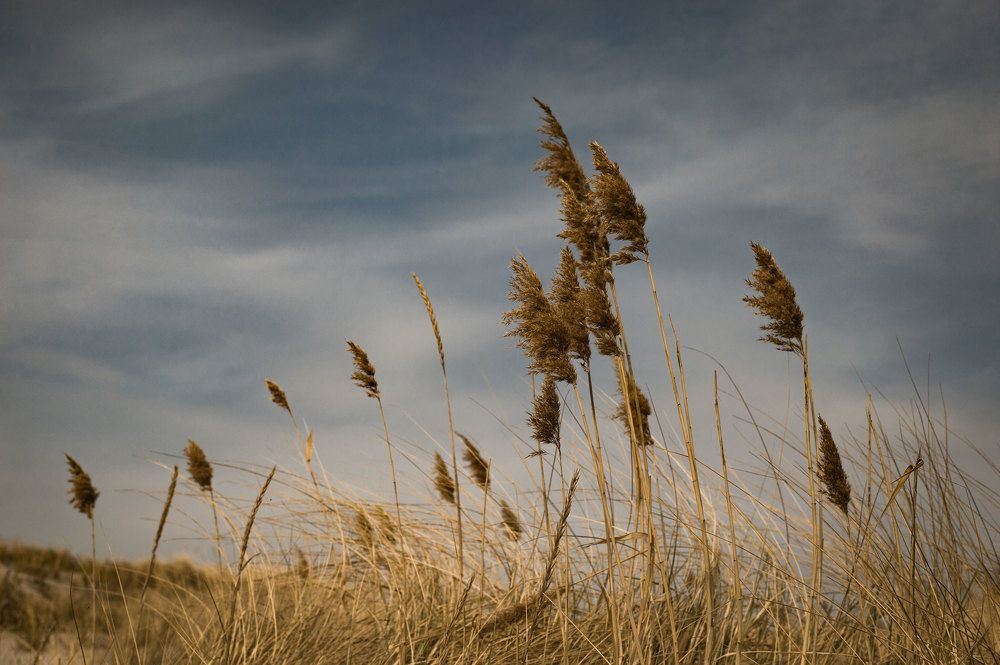 Photograph by Юлия Чепкина