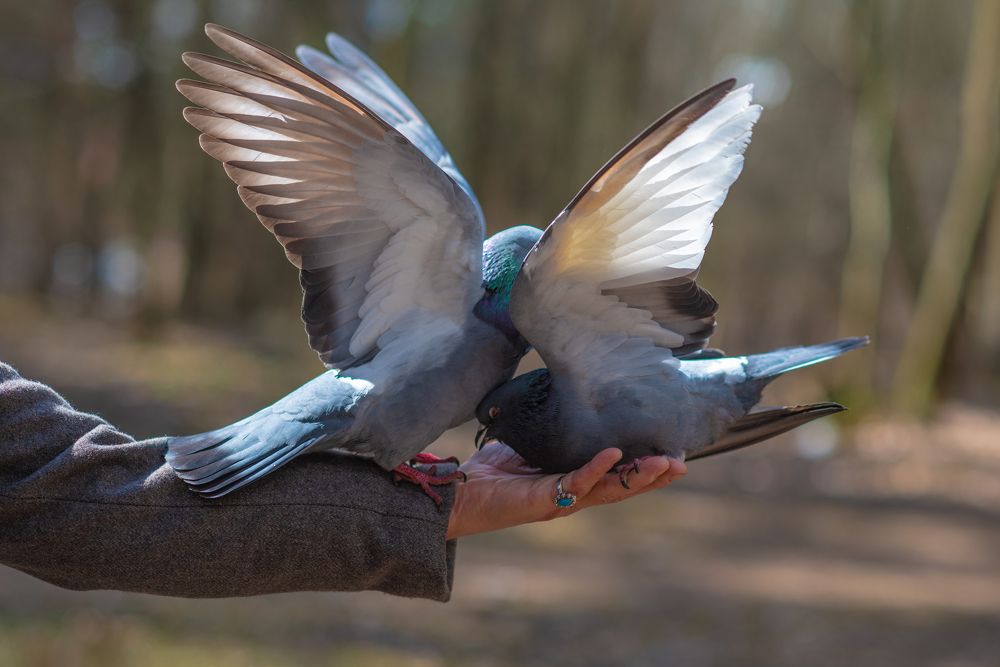 Photograph by Олег Малаев