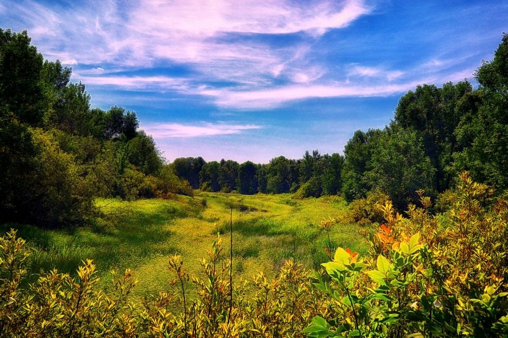 Photograph by Cергей Землянский