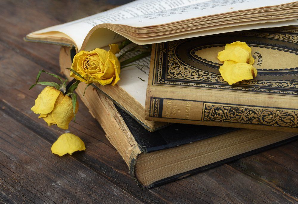 Photograph by Gizela Halászová