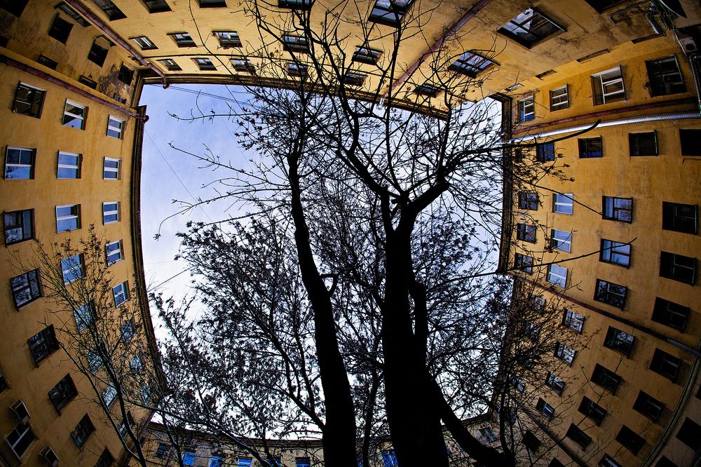 Photograph by Елена Тульчинская