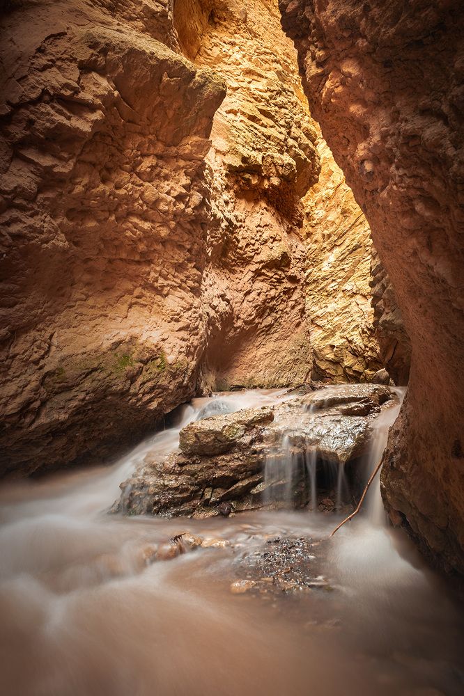 Photograph by Amir Ramezani