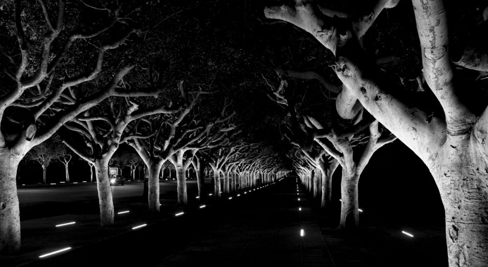 Photograph by Salih Aqeil