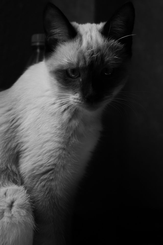Photograph by Victoria Zubova