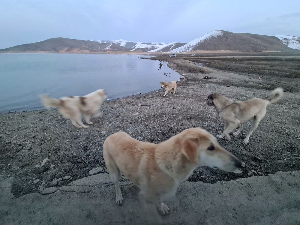 Photograph by Mohamadreza Jalilzadeh