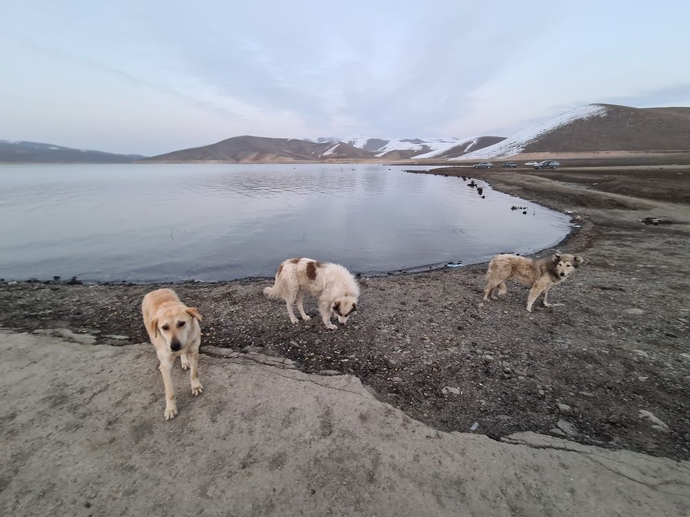 Photograph by Mohamadreza Jalilzadeh