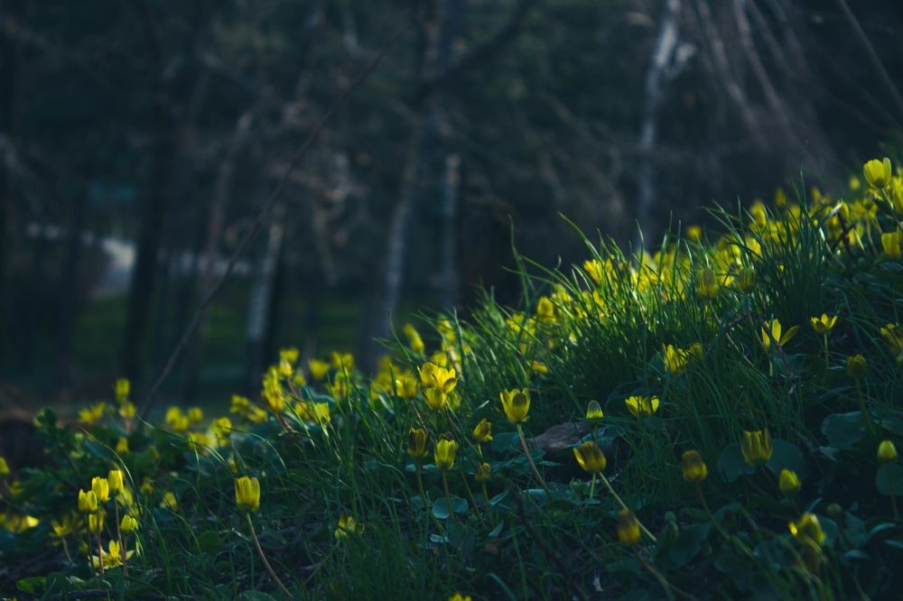 Photograph by Victoria Zubova