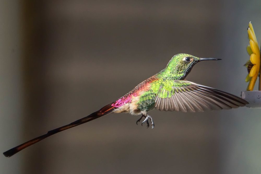 Photograph by Karina Elena Bergagna