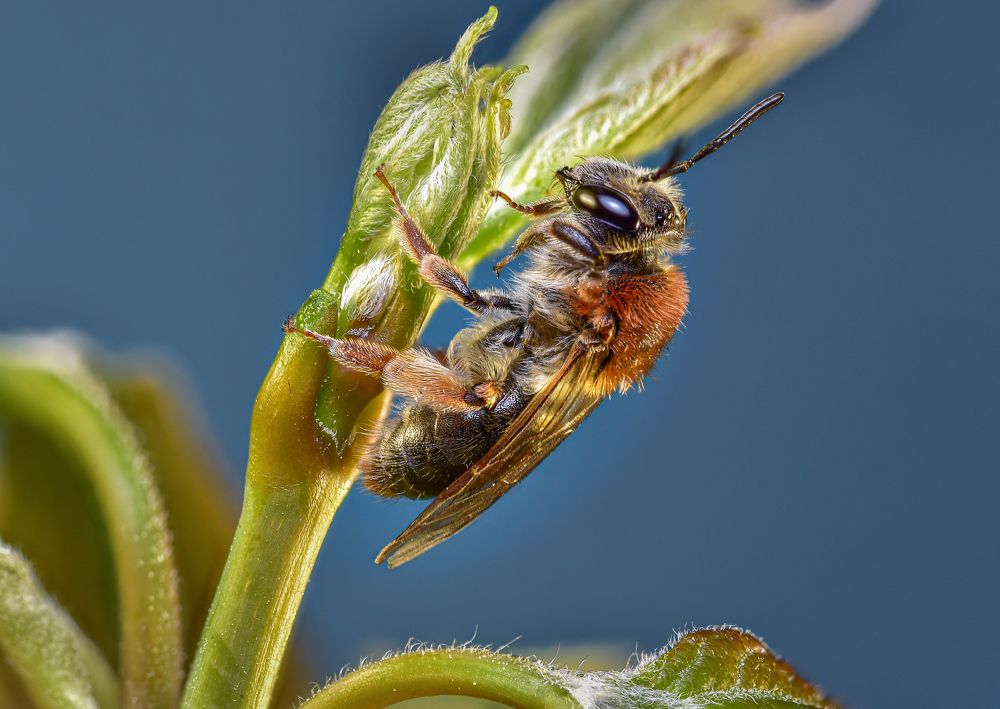 Photograph by Андрей Зимин